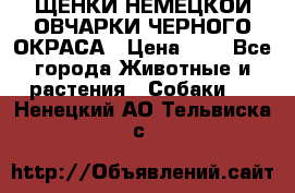 ЩЕНКИ НЕМЕЦКОЙ ОВЧАРКИ ЧЕРНОГО ОКРАСА › Цена ­ 1 - Все города Животные и растения » Собаки   . Ненецкий АО,Тельвиска с.